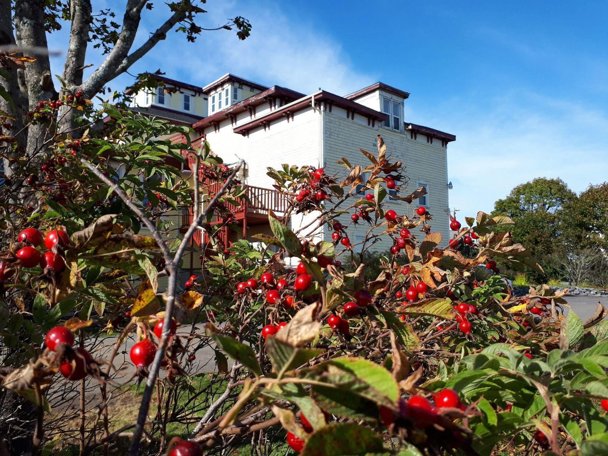 Homeport Historic B&B Сент-Джон Экстерьер фото